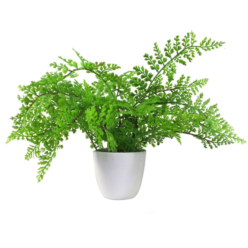 Artificial Potted Royal Fern 30cm - Realistic Indoor Fake Plant