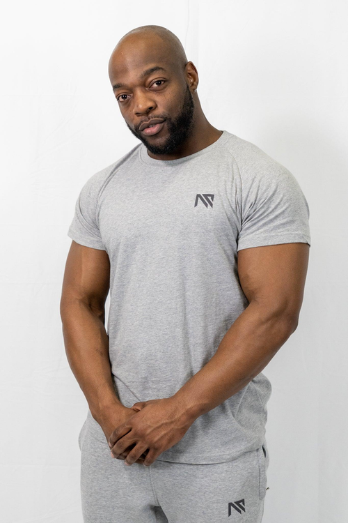 Animus Prime slim fit t-shirt in grey with reflective logo